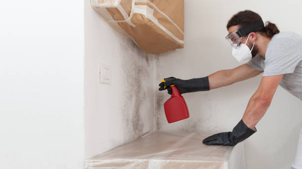 Professional Mold Cleanup technician working in Pennington, NJ