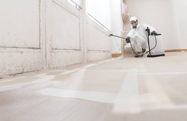 24/7 Emergency Mold Cleanup experts in Pennington, NJ
